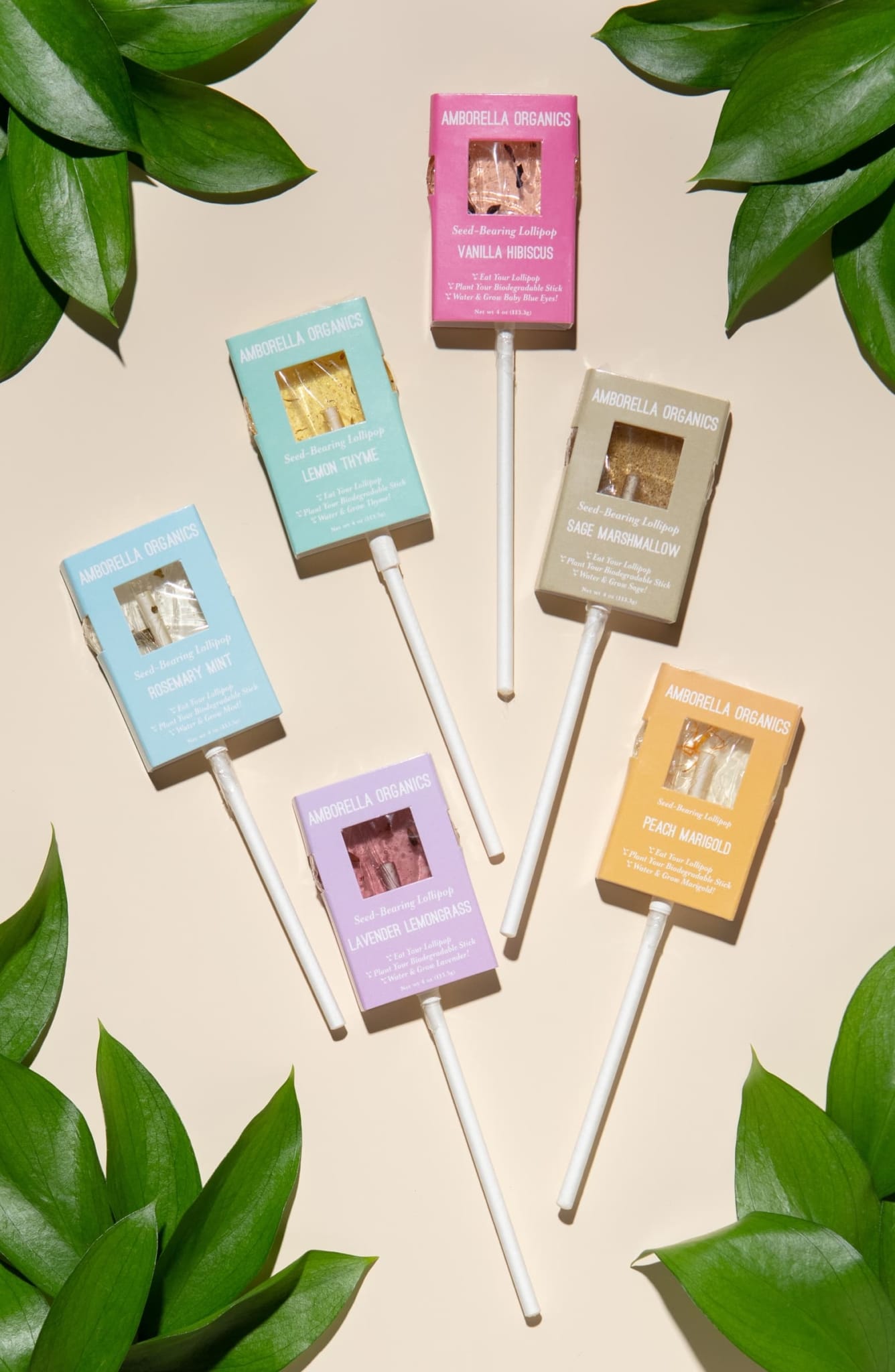 lollipop with biodegradable stick nordstrom