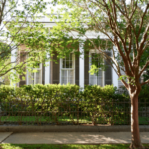 House Tour:  In New Orleans with Colleen Waguespack