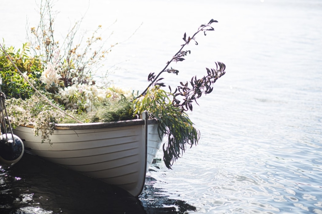 Luisa Brimble Photography - rowboat with flowers - rowboat - Unsplash - greens