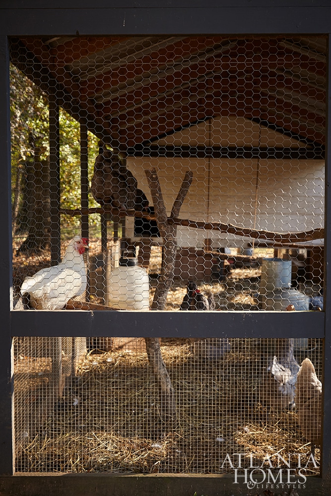 country house chicken coop