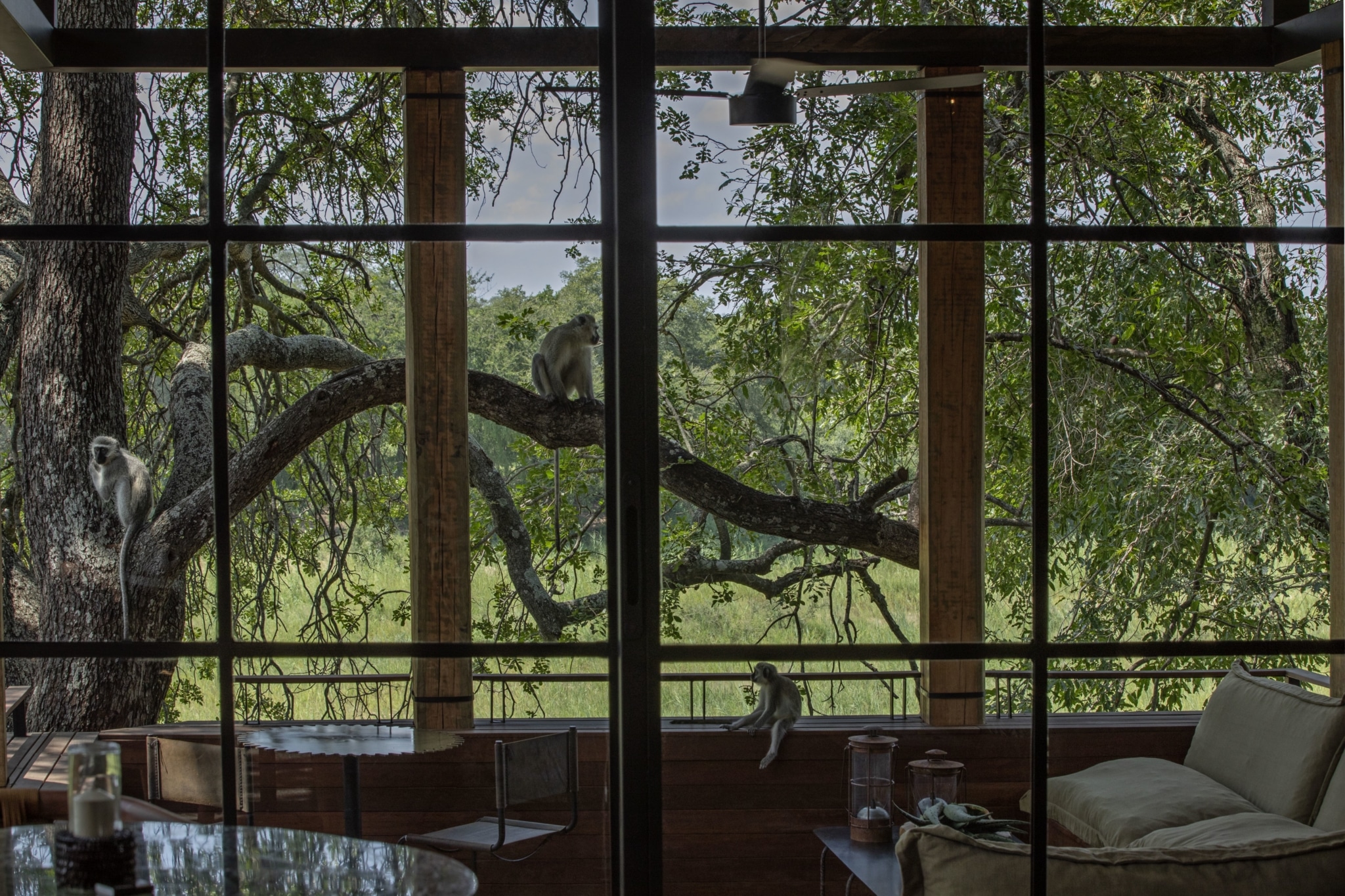 Tengile River Lodge, South Africa |Safari Style | Guido Taroni Photography by Melissa Biggs Bradley