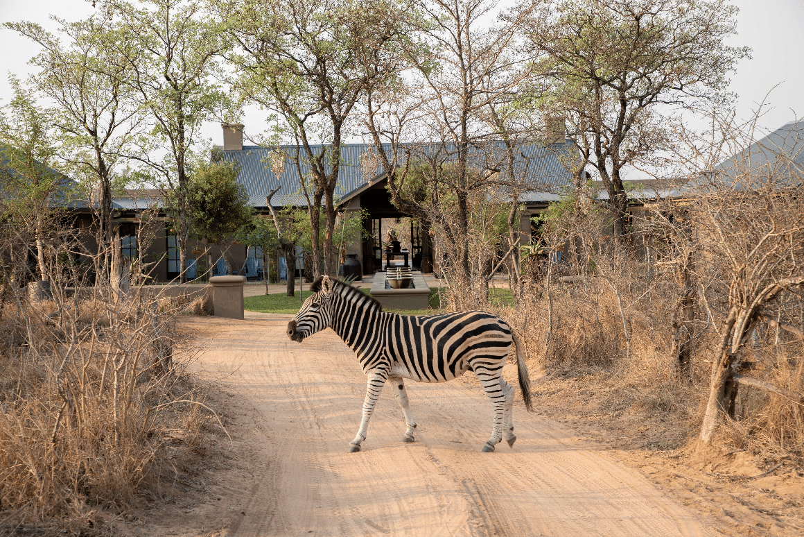  The Farmstead at Royal Malewane, South Africa. | Safari Style | Guido Taroni Photography by Melissa Biggs Bradley