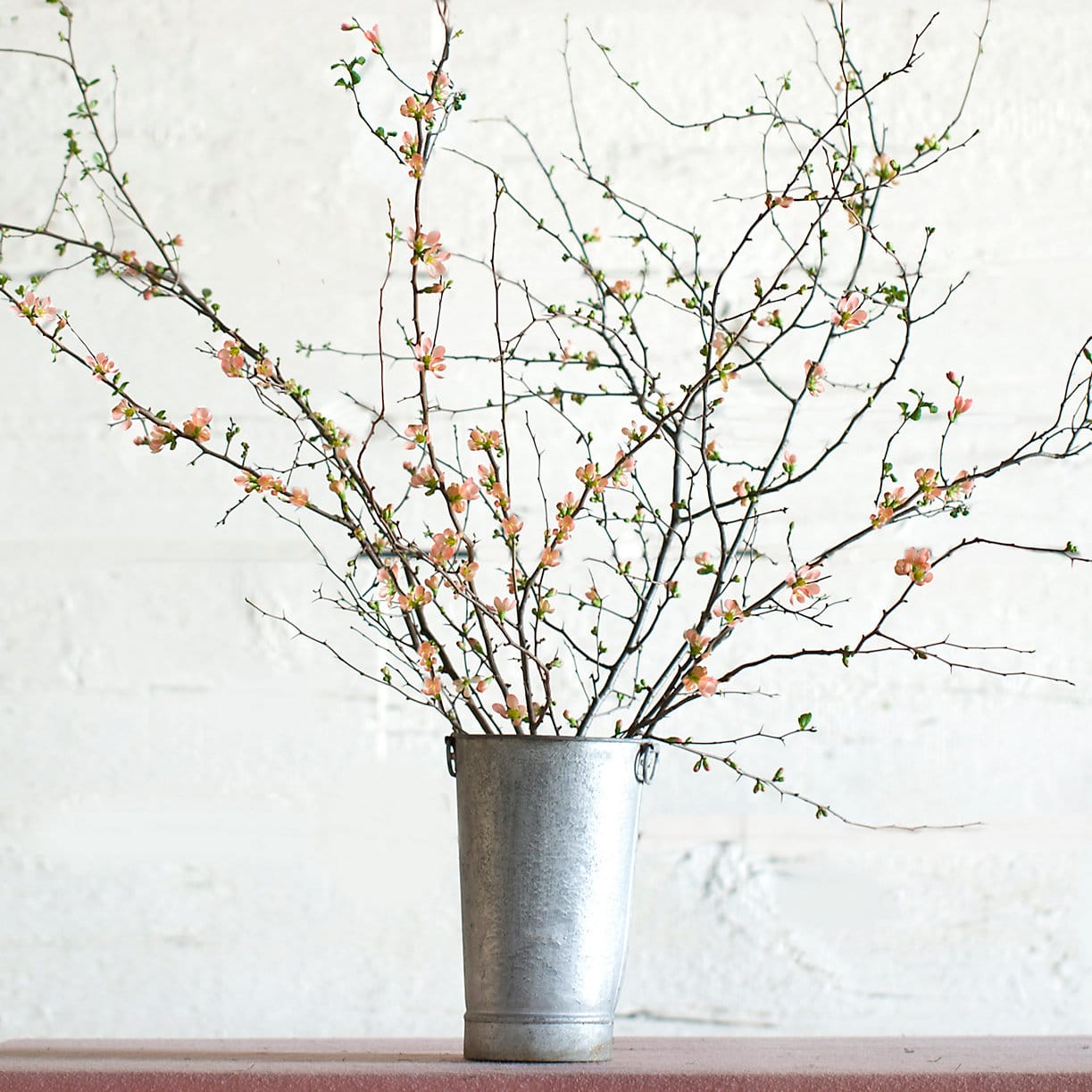 Fresh branches from shopterrain.com - Terrain - spring branches - pink flowers - chic
