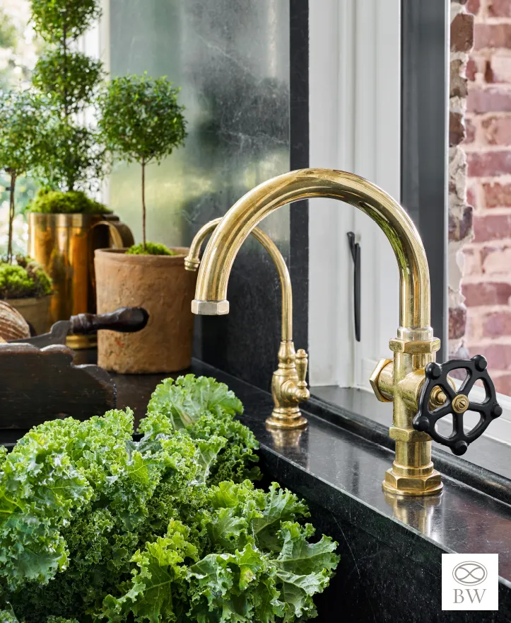 Beth Webb Interior Design - Emily Followill Photography - unlacquered brass faucet - Waterworks faucet - greens - topiaries