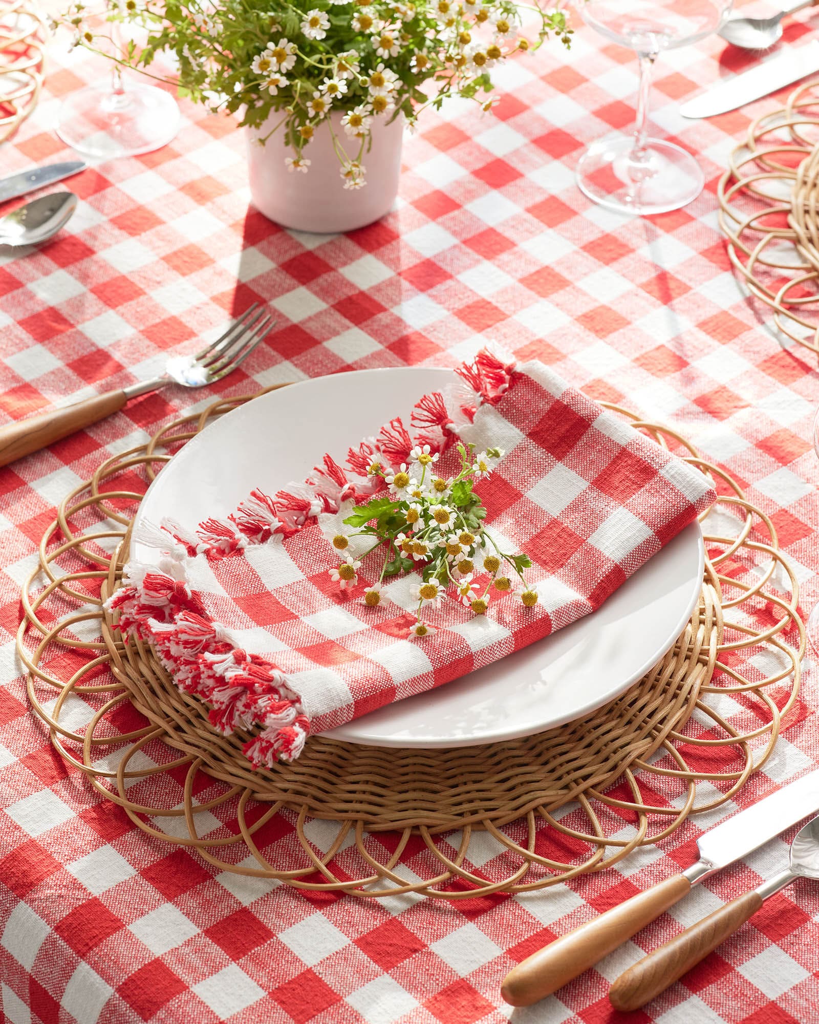 Summer Tablesetting- serena & lily - outdoor entertaining - entertaining- red and white - party - dinner party -color-infused