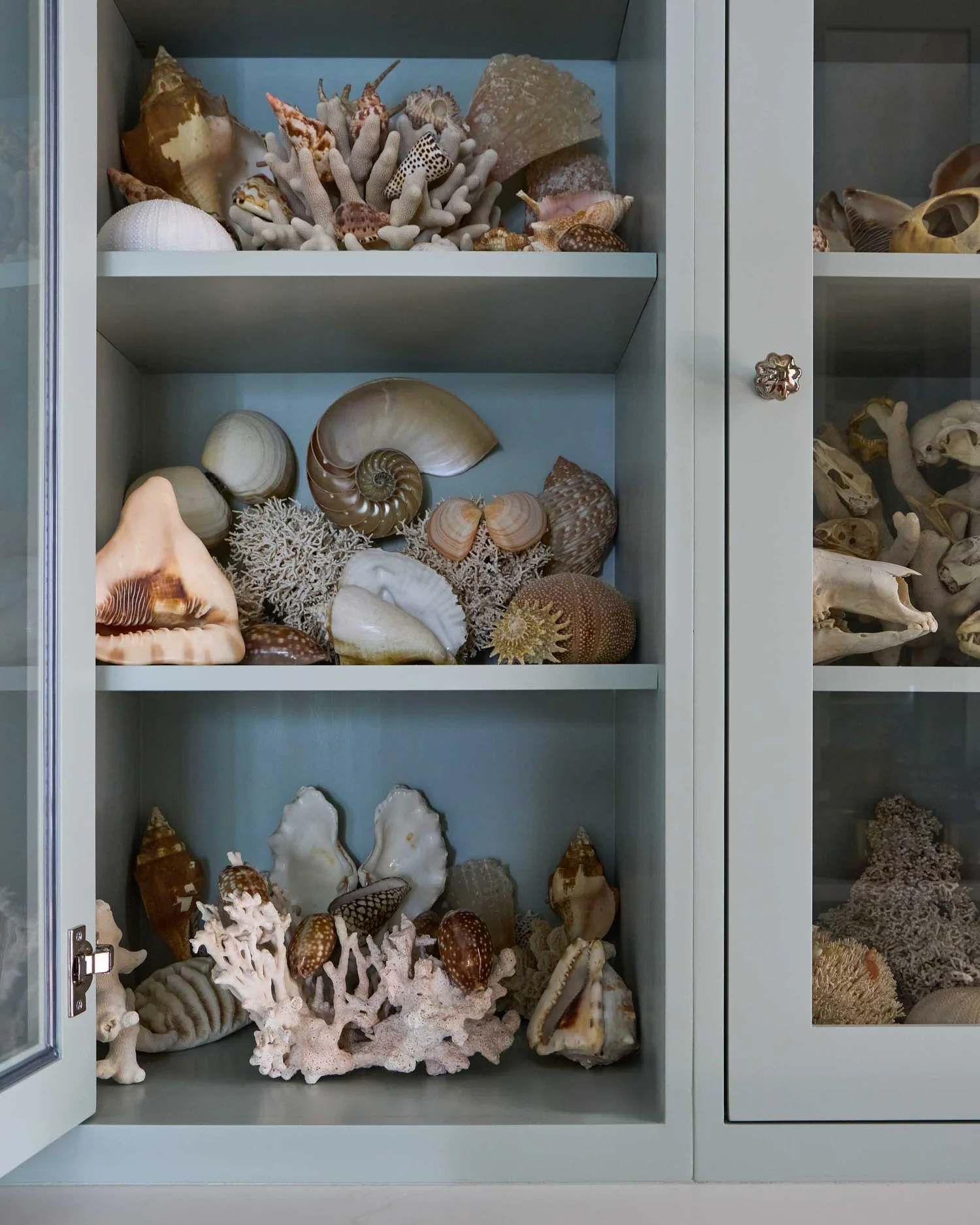 Tour a traditional coastal home with beautiful antiques, collected charm, and a relaxed seaside feel. You'll love every fabulous detail! Beautiful collection of shells in breakfront